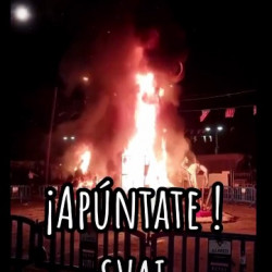 Falles 2024
