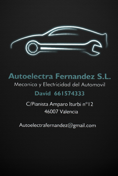 autoelectra2